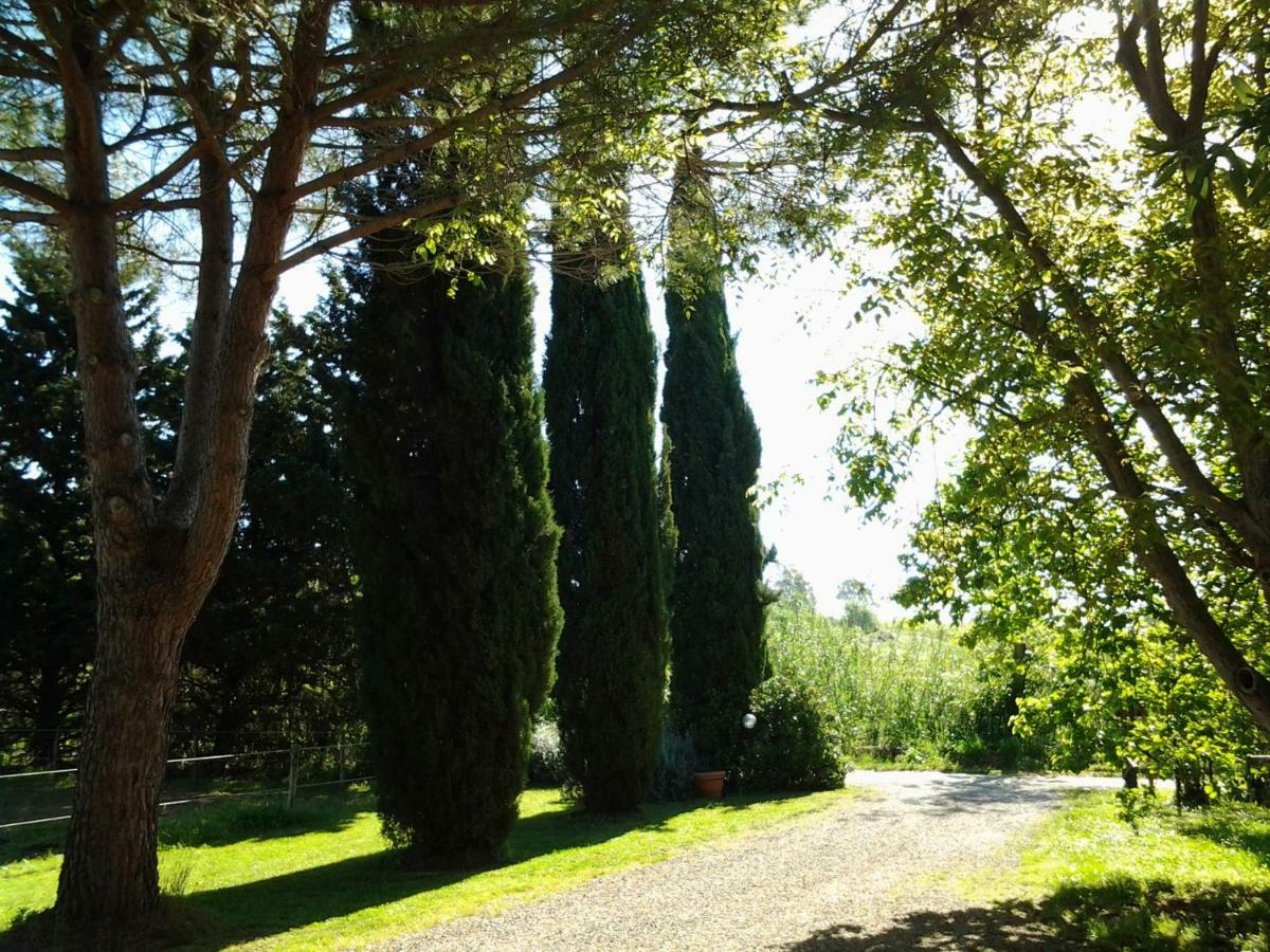 Agriturismo Piana Arborello Magliano in Toscana Exterior foto