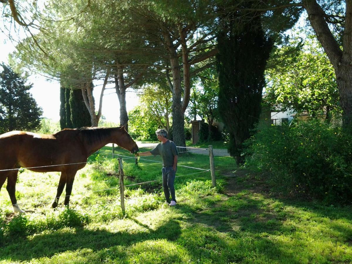 Agriturismo Piana Arborello Magliano in Toscana Exterior foto