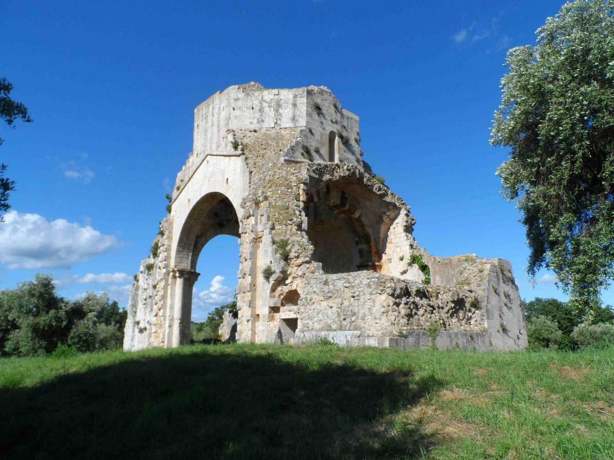 Agriturismo Piana Arborello Magliano in Toscana Exterior foto