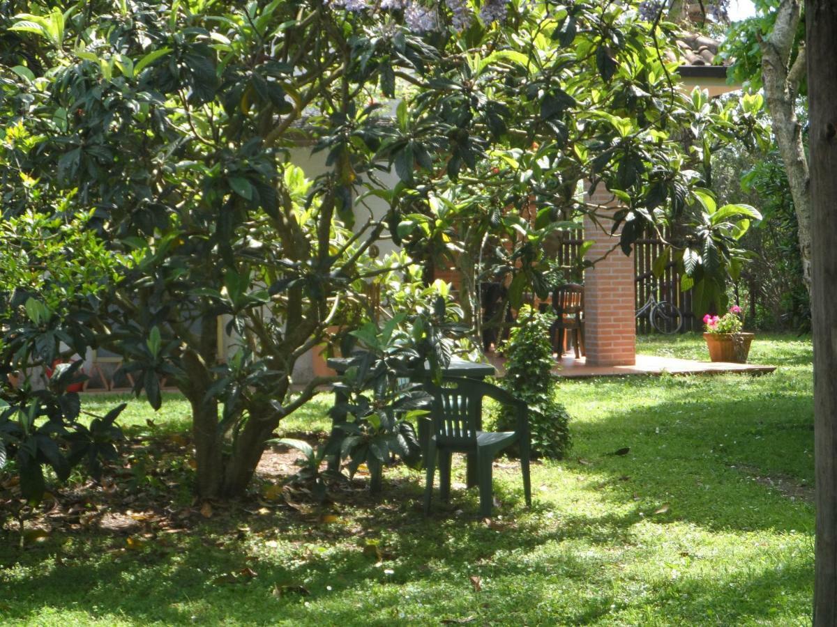 Agriturismo Piana Arborello Magliano in Toscana Exterior foto