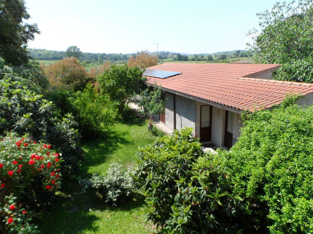 Agriturismo Piana Arborello Magliano in Toscana Exterior foto