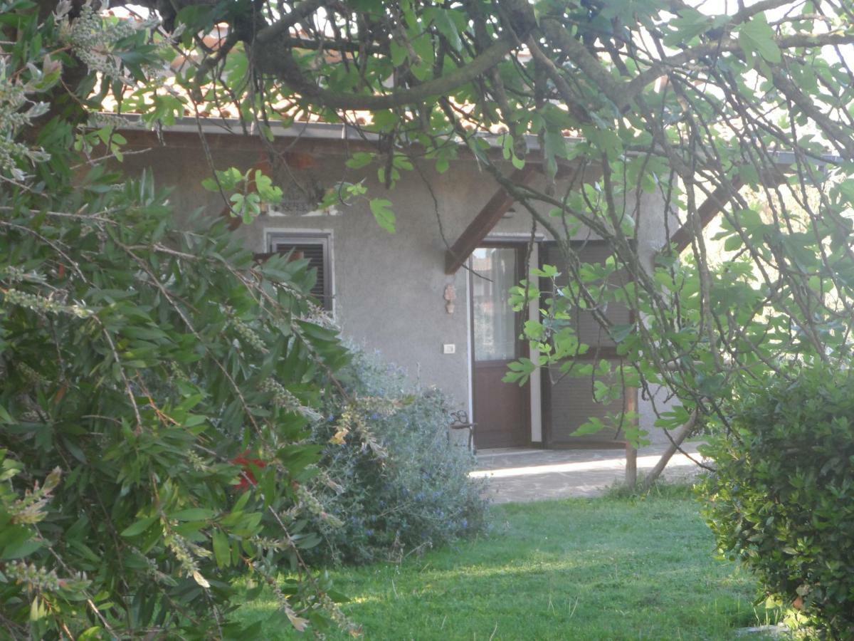 Agriturismo Piana Arborello Magliano in Toscana Exterior foto