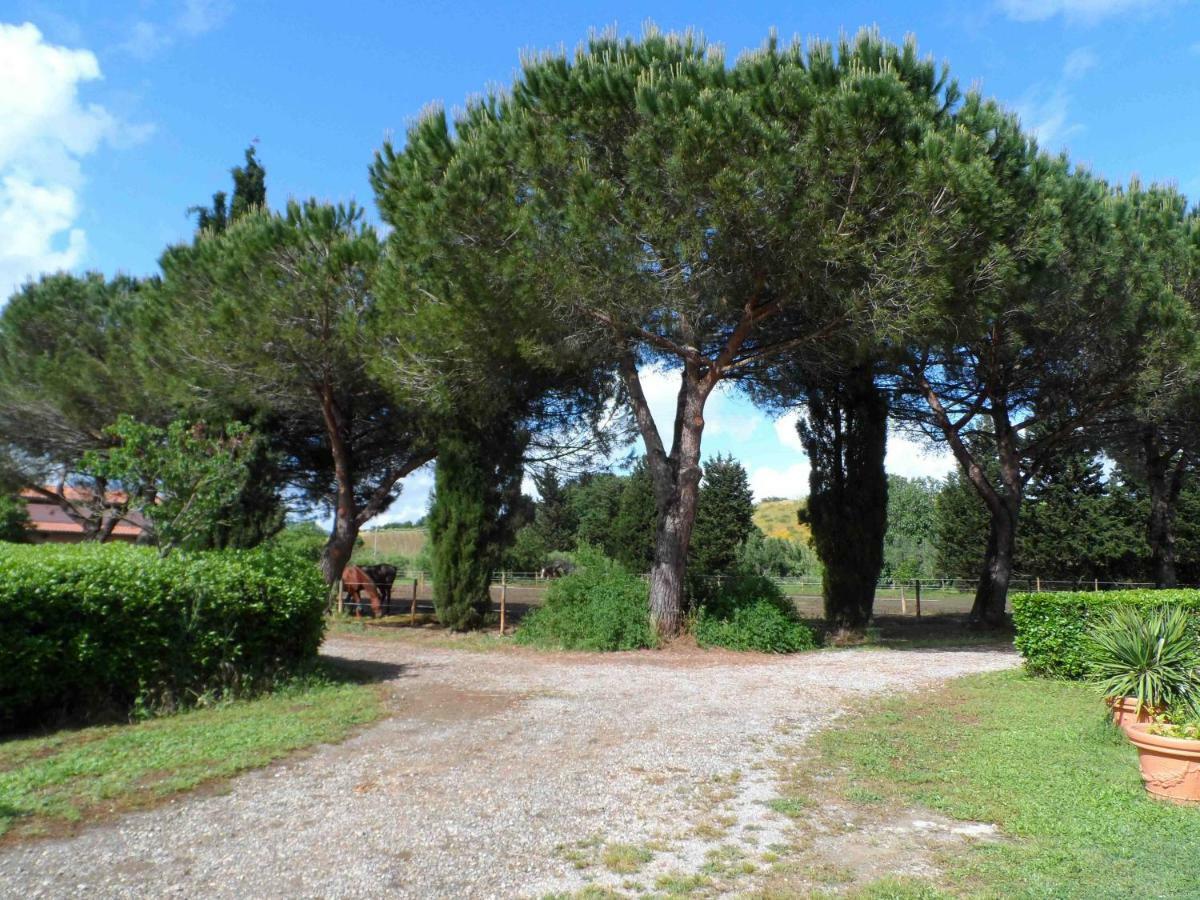 Agriturismo Piana Arborello Magliano in Toscana Exterior foto