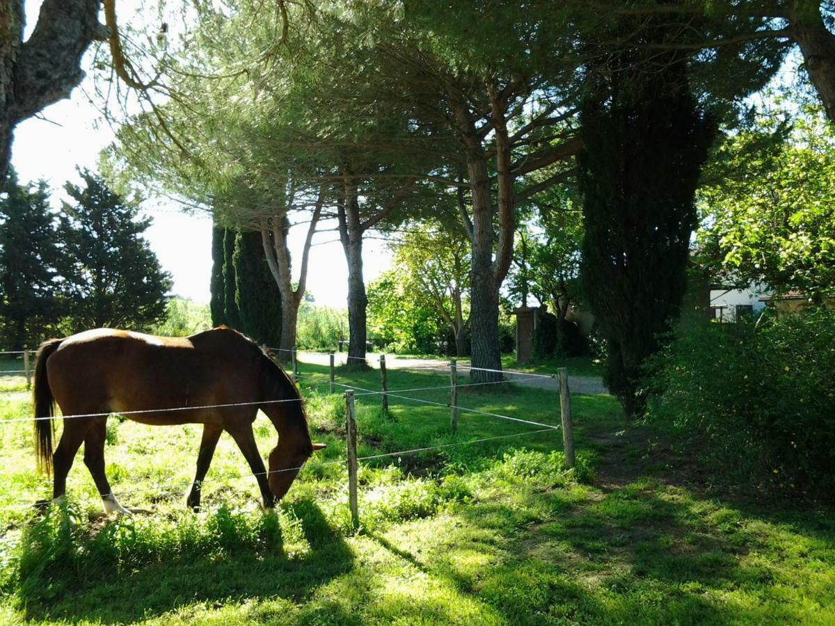 Agriturismo Piana Arborello Magliano in Toscana Exterior foto