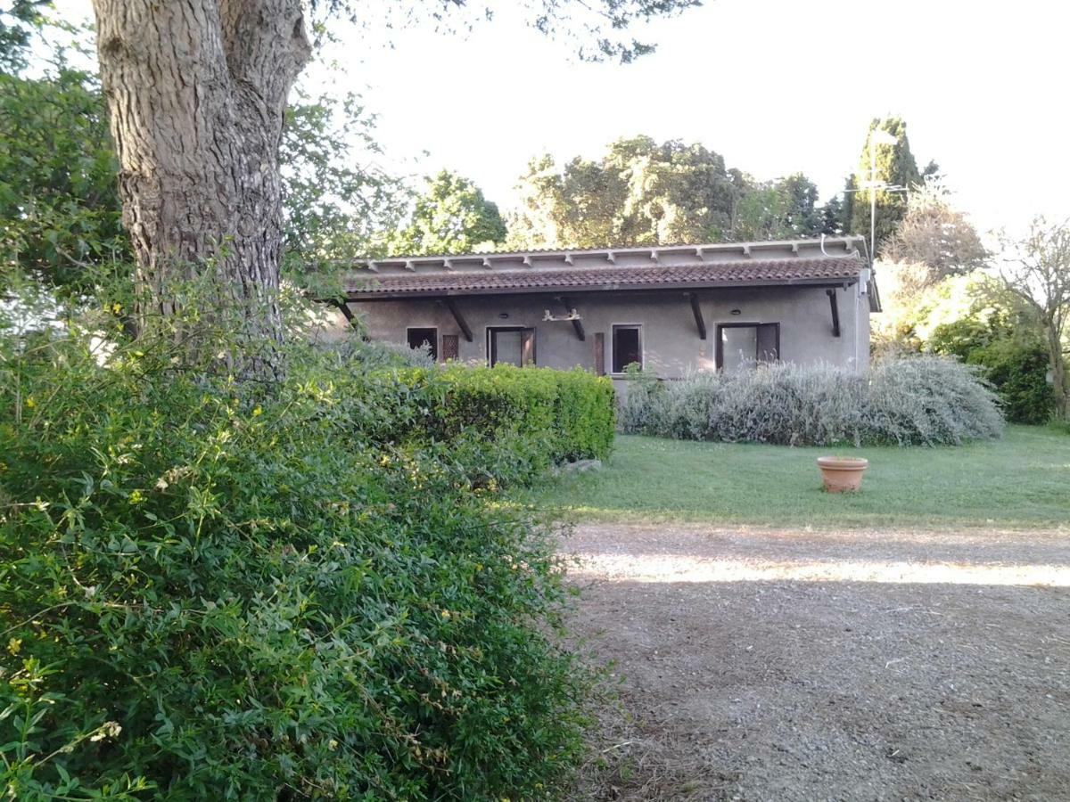 Agriturismo Piana Arborello Magliano in Toscana Exterior foto