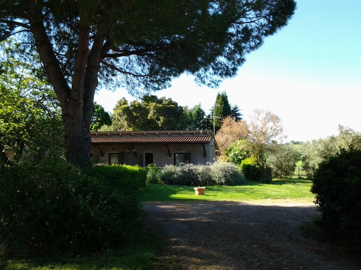 Agriturismo Piana Arborello Magliano in Toscana Exterior foto