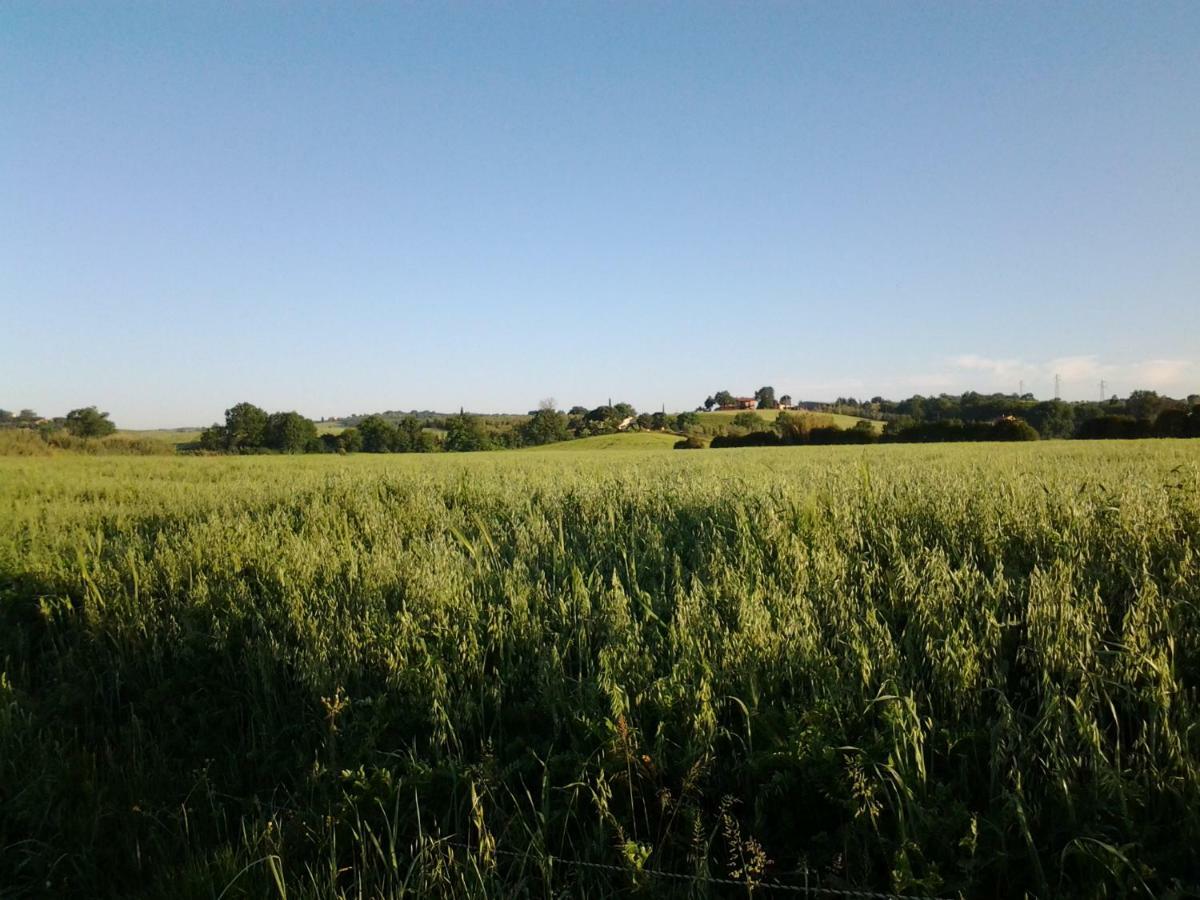 Agriturismo Piana Arborello Magliano in Toscana Exterior foto