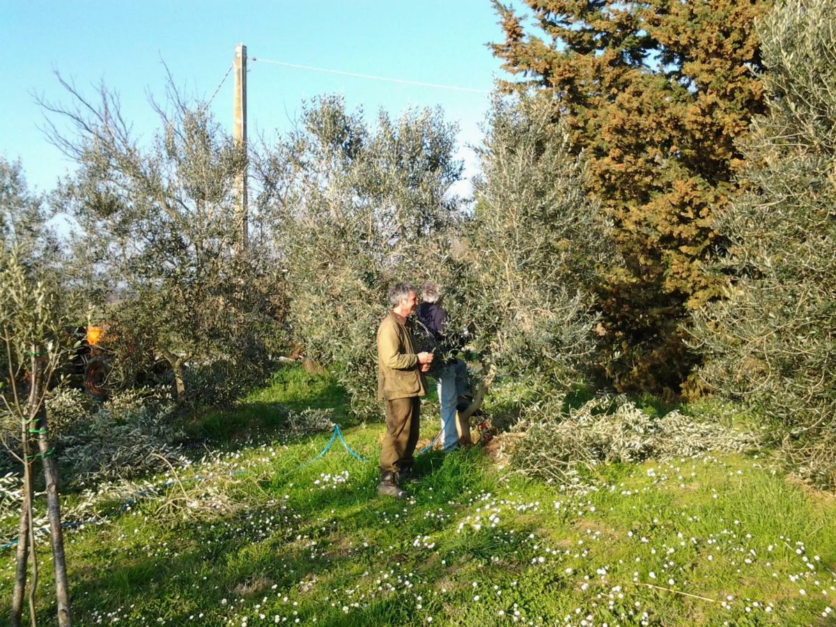 Agriturismo Piana Arborello Magliano in Toscana Exterior foto